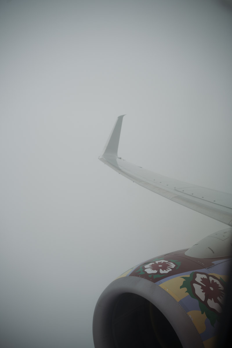looking back at an airplane wing while climbing through a cloud