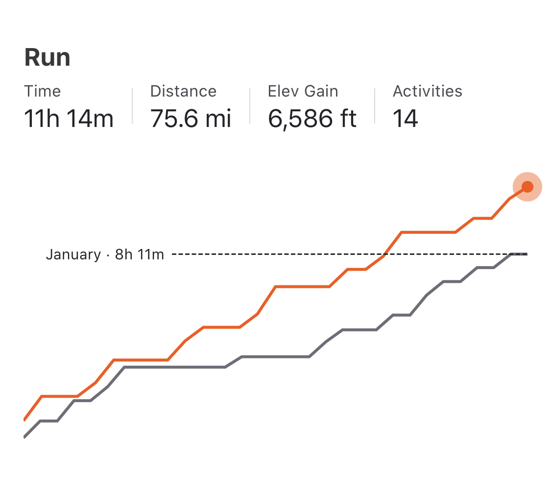 image of February Strava stats, much higher than January's